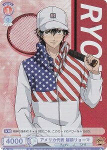 @CXV@cuE TNPR/01B-026 AJ\ zO[} (R A) u[X^[pbN VejX̉ql