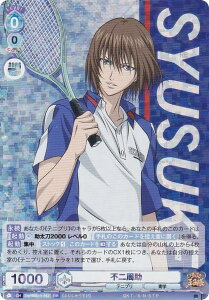 @CXV@cuE TNPR/01B-043 s (RR _uA) u[X^[pbN VejX̉ql