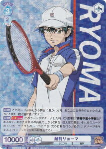 @CXV@cuE TNPR/01B-047 zO[} (RR _uA) u[X^[pbN VejX̉ql