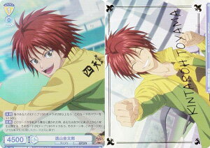 @CXV@cuE TNPR/01B-007B RY (BR uEA) u[X^[pbN VejX̉ql