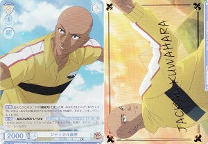 @CXV@cuE TNPR/01B-017B WbJK (BR uEA) u[X^[pbN VejX̉ql