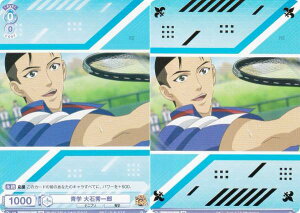 @CXV@cuE TNPR/01S-003B w ΏGY (BR uEA) X^[gfbL VejX̉ql