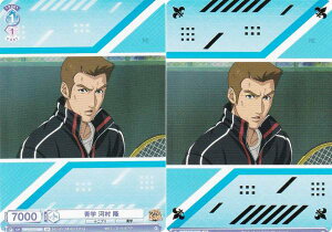 @CXV@cuE TNPR/01S-008B w ͑  (BR uEA) X^[gfbL VejX̉ql