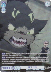 @CXV@cuE AOEX/01B-064CP L N (CP RNVp) u[X^[pbN PtV[Y ([Е/mʕ/I)