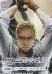 @CXV@cuE KSJ/01B-031CP ҂̐ n[}EO[q (CP RNVp) u[X^[pbN TVAj  -hwZ-