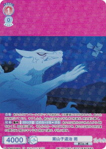 @CXV@cuE NTM/01B-033CP ĎRqގ  (CP RNVp) u[X^[pbN ĖڗFl