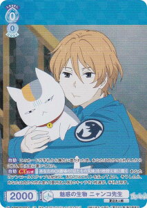 @CXV@cuE NTM/01B-053CP f̐ jR搶 (CP RNVp) u[X^[pbN ĖڗFl