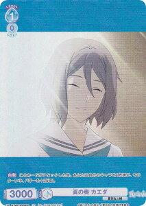 @CXV@cuE NTM/01B-058CP ł̉ JG_ (CP RNVp) u[X^[pbN ĖڗFl