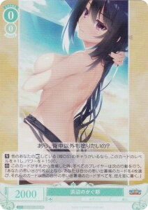 @CXV@c[ OS01/R01-038S lӂ̂ (SR X[p[A) u[X^[pbN 䂸\tg