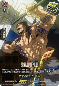 @K[h D-TB05/RGR38 ҂] (RGR OiNA) ^Cgu[X^[5e ĨL[