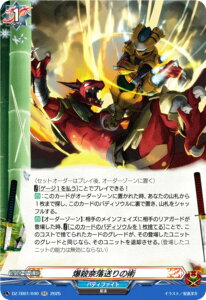 @K[h DZ-TB01/040 Eޗ̏p (RR _uA) ^Cgu[X^[ t[`[J[h ofBt@Cg