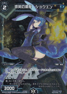 EBNX WXK02-089P p̔Zx VNG (R(p)) WXK-P02 tXNb`