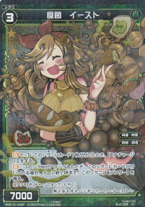 ypzEBNX WXK10-049 H C[Xg (R A) WXK-P10 RW