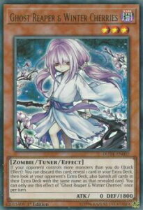 VY DUDE-EN002 H Ghost Reaper & Winter Cherries (p 1st Edition EgA) Duel Devastator