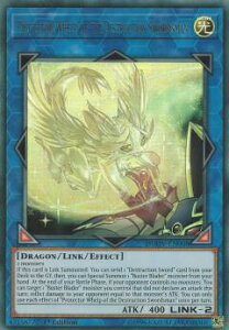 �V�Y�� DUOV-EN008 �j�󌕎m�̎���J�� Protector Whelp of the Destruction Swordsman (�p��� 1st Edition �E���g�����A) Duel Overload