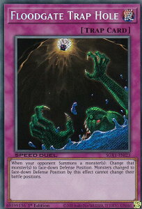 VY SGX1-ENI23 ȂƂ Floodgate Trap Hole (p 1st Edition V[NbgA) Speed Duel GXFDuel Academy Box