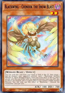 VY DABL-EN003 BF|ጂ̃`k[N Blackwing - Chinook the Snow Blast (p 1st Edition X[p[A) Darkwing Blast