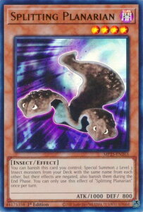VY MP25-EN263 􂷂viA Splitting Planarian (p 1st Edition EgA) 2025 Mega-Pack Bundle