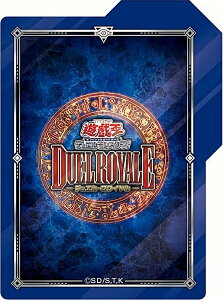 VY DR01 [̔ u[ Zp[^[F1] fGC fbLZbgEX