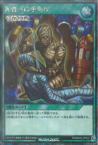 VY bVfG RD/MAX2-JP023 ҂ւ̎ ({ V[NbgA) }LV}ipbN