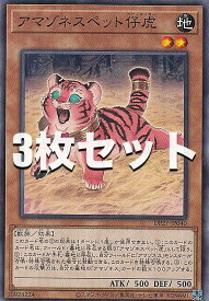【3枚セット】遊戯王 DP27-JP040 アマゾネスペット仔虎 (日本語版 ノーマル) デュエリストパック −輝石のデュエリスト編−