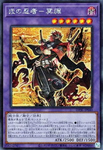 VY DABL-JP040 ^̔Eҁ|W ({ V[NbgA) _[NEBOEuXg