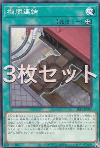 y3ZbgzVY SLF1-JP017 @֘A ({ m[}) SELECTION 5