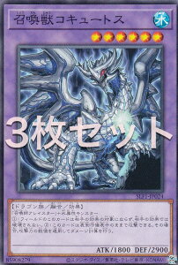 y3ZbgzVY SLF1-JP024 bRL[gX ({ m[}) SELECTION 5