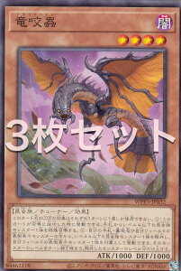 �y3���Z�b�g�z�V�Y�� WPP3-JP032 ����� (���{��� �m�[�}��) WORLD PREMIERE PACK 2022
