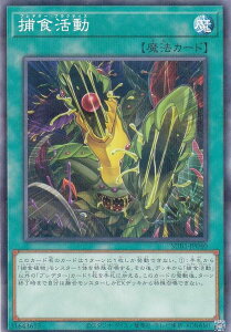 VY SUB1-JP040 ߐH ({ m[}p) SECRET UTILITY BOX