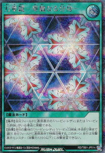 VY bVfG RD/TB01-JP014 ؋|ؗȂ镪g| ({ V[NbgA) gvrhpbN SbhuXEEBO