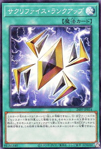 VY 24PP-JP014 TNt@CXENAbv ({ X[p[A) PREMIUM PACK 2024 v~ApbN