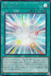 VY 24PP-JP010 W ({ V[NbgA) PREMIUM PACK 2024 v~ApbN