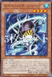 �y3���Z�b�g�z�V�Y�� AC04-JP033 ���C�g�n���h�E�V���[�N (���{��� �m�[�}��) ANIMATION CHRONICLE 2024