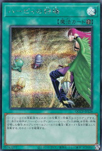 VY QCCP-JP128 n[sB̎ ({ V[NbgA) QUARTER CENTURY CHRONICLE sideFPRIDE