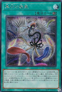 VY QCCP-JP143 H̐ ({ V[NbgA) QUARTER CENTURY CHRONICLE sideFPRIDE