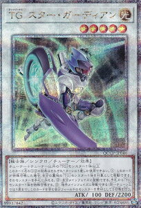 VY QCCP-JP046 TG X^[EK[fBA ({ 25th NH[^[Z`[V[NbgA) QUARTER CENTURY CHRONICLE sideFPRIDE