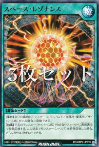 �y3���Z�b�g�z�V�Y�� ���b�V���f���G�� RD/ORP2-JP019 �X�y�[�X�E���]�i���X (���{��� �m�[�}��) �I�[�o�[���b�V���p�b�N2