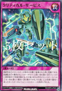 �y3���Z�b�g�z�V�Y�� ���b�V���f���G�� RD/ORP2-JP022 �N���e�B�J���E�T�[�r�X (���{��� �m�[�}��) �I�[�o�[���b�V���p�b�N2