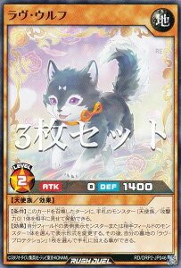 �y3���Z�b�g�z�V�Y�� ���b�V���f���G�� RD/ORP2-JP046 �����E�E���t (���{��� �m�[�}��) �I�[�o�[���b�V���p�b�N2