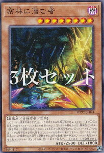 �y3���Z�b�g�z�V�Y�� WPP5-JP044 ���тɐ��ގ� (���{��� �m�[�}��) WORLD PREMIERE PACK 2024