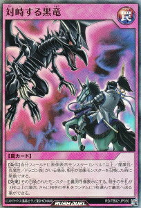 VY bVfG RD/TB02-JP030 Λ鍕 ({ X[p[A) gvrhpbN G{[VECpNg