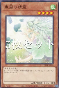 y3ZbgzVY DBPR-JP028 ̐ ({ m[}) fbLrhpbN t@gExW[Y