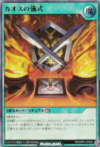 �V�Y�� ���b�V���f���G�� RD/ORP3-JP038 �J�I�X�̋V�� (���{��� �E���g�����A) �I�[�o�[���b�V���p�b�N3