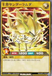 �y3���Z�b�g�z�V�Y�� ���b�V���f���G�� RD/ORP3-JP020 �r�E�T���_�[�����_ (���{��� �m�[�}��) �I�[�o�[���b�V���p�b�N3