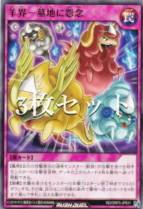 �y3���Z�b�g�z�V�Y�� ���b�V���f���G�� RD/ORP3-JP031 �r�E�|��n�ɉ��O (���{��� �m�[�}��) �I�[�o�[���b�V���p�b�N3