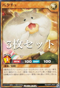 �y3���Z�b�g�z�V�Y�� ���b�V���f���G�� RD/ORP3-JP074 �p�N�`�� (���{��� �m�[�}��) �I�[�o�[���b�V���p�b�N3