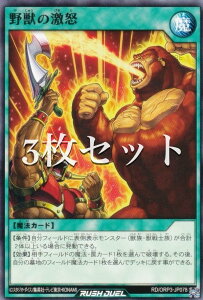 �y3���Z�b�g�z�V�Y�� ���b�V���f���G�� RD/ORP3-JP078 ��b�̌��{ (���{��� �m�[�}��) �I�[�o�[���b�V���p�b�N3