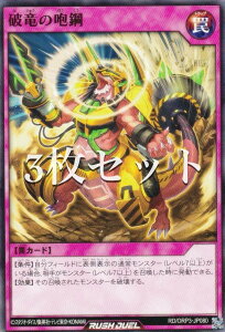 �y3���Z�b�g�z�V�Y�� ���b�V���f���G�� RD/ORP3-JP080 �j���̙�| (���{��� �m�[�}��) �I�[�o�[���b�V���p�b�N3