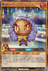 �V�Y�� ���b�V���f���G�� RD/ORP3-JP050 �f���̃}�[�Y�t���b�N�X (���{��� �V�[�N���b�g���A) �I�[�o�[���b�V���p�b�N3